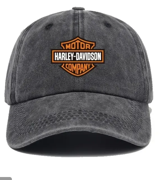 Harley Davidson pet
