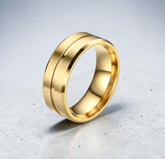 Steel unisex ring with 2 matte strips