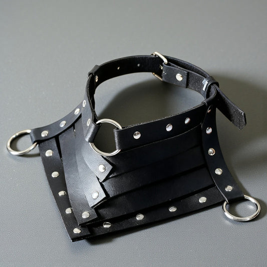 Brede lederen choker met aanluspunten